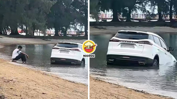 X70 In Sea Ft Img