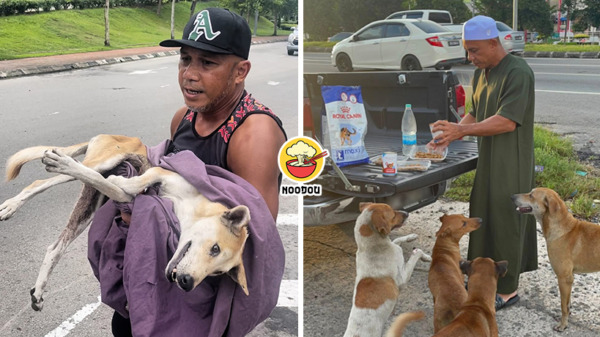 Muslim Feed Stray Dog Ft Img